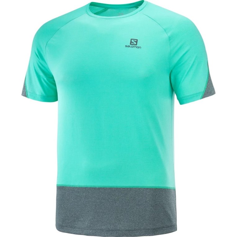 Camiseta Salomon Cross Run Curta Sleeve Masculino Turquesa Cinzentas | PT U10539